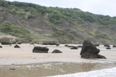 Falaise des vaches noires